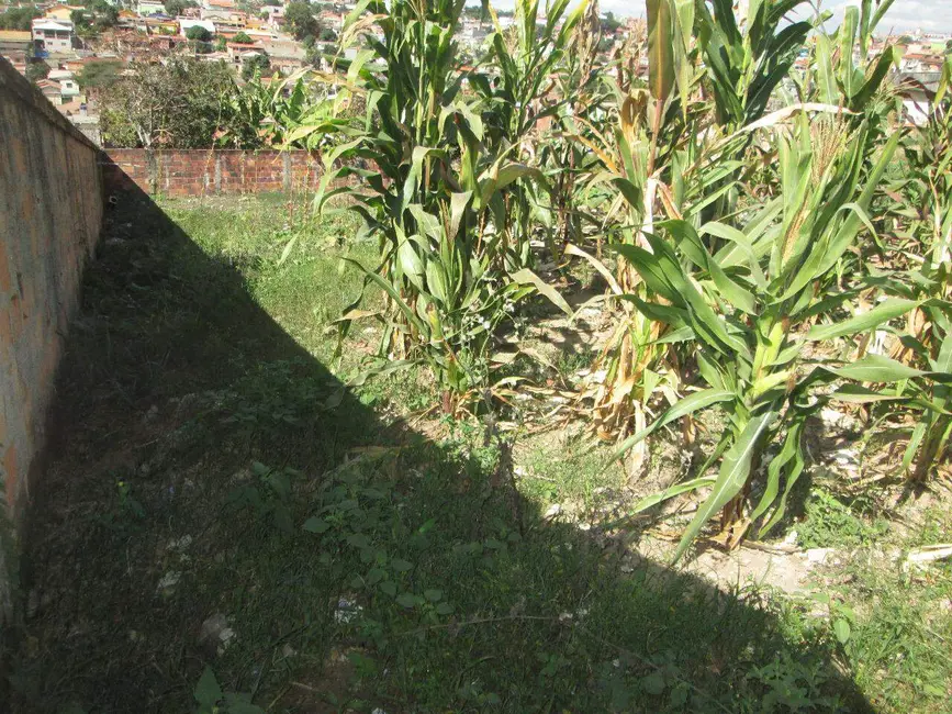 Foto 3 de Terreno / Lote à venda, 720m2 em Veneza, Ribeirao Das Neves - MG