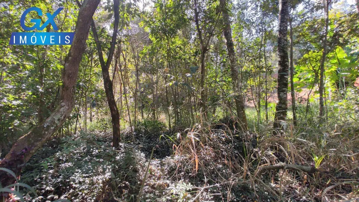 Chácara à venda, 5650m2 em Esmeraldas - MG - imagem 14 Foto 14 de Chácara à venda, 5650m2 em Esmeraldas - MG