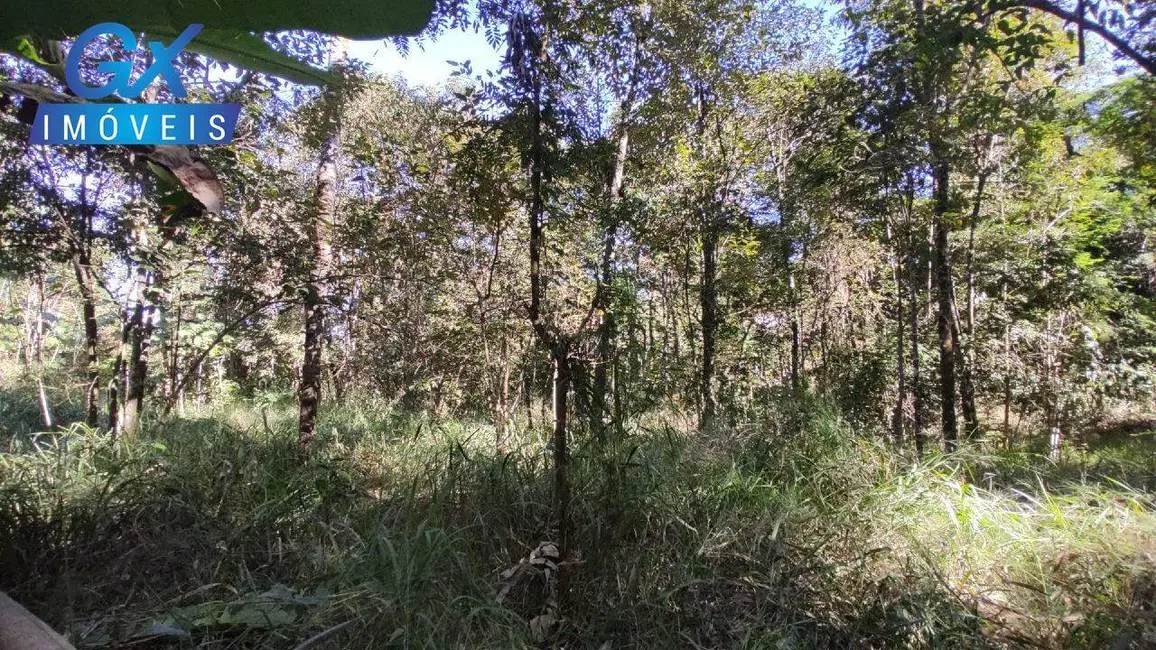 Chácara à venda, 5650m2 em Esmeraldas - MG - imagem 19 Foto 19 de Chácara à venda, 5650m2 em Esmeraldas - MG