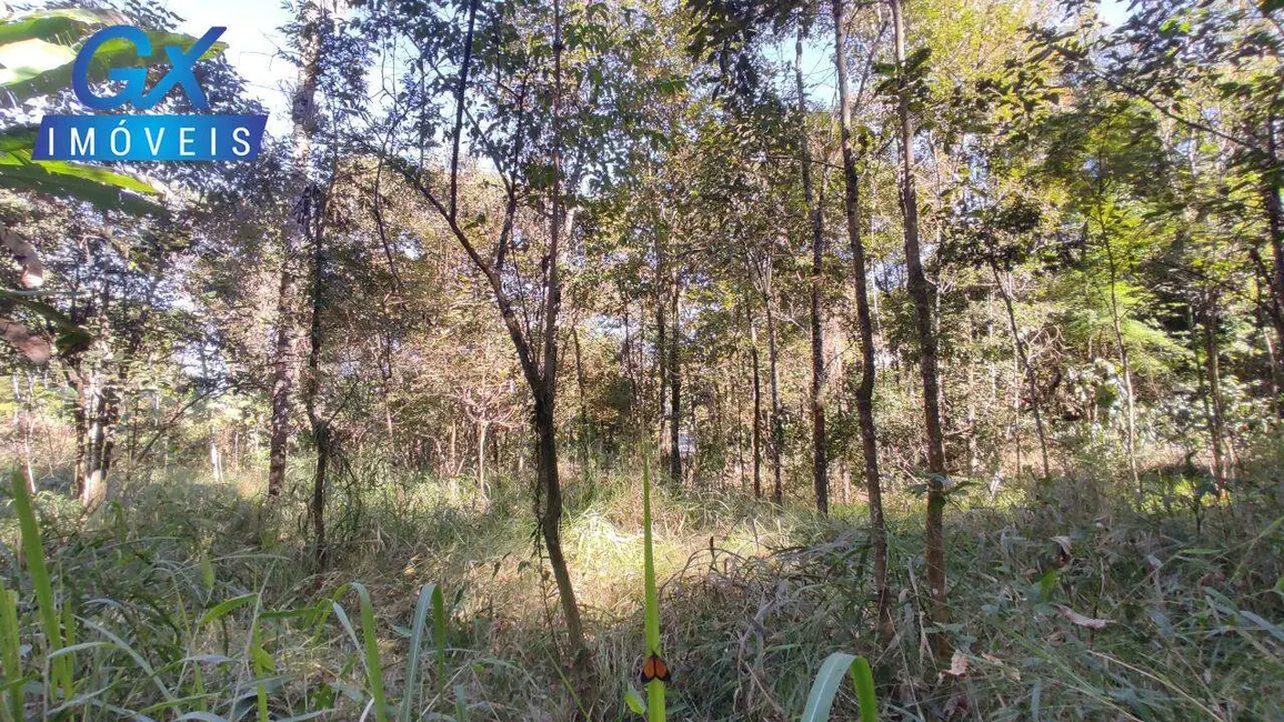 Chácara à venda, 5650m2 em Esmeraldas - MG - imagem 10 Foto 10 de Chácara à venda, 5650m2 em Esmeraldas - MG