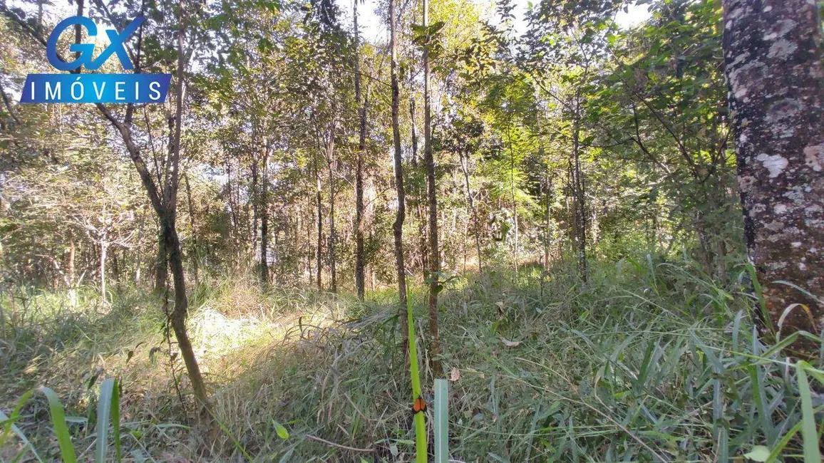 Chácara à venda, 5650m2 em Esmeraldas - MG - imagem 11 Foto 11 de Chácara à venda, 5650m2 em Esmeraldas - MG