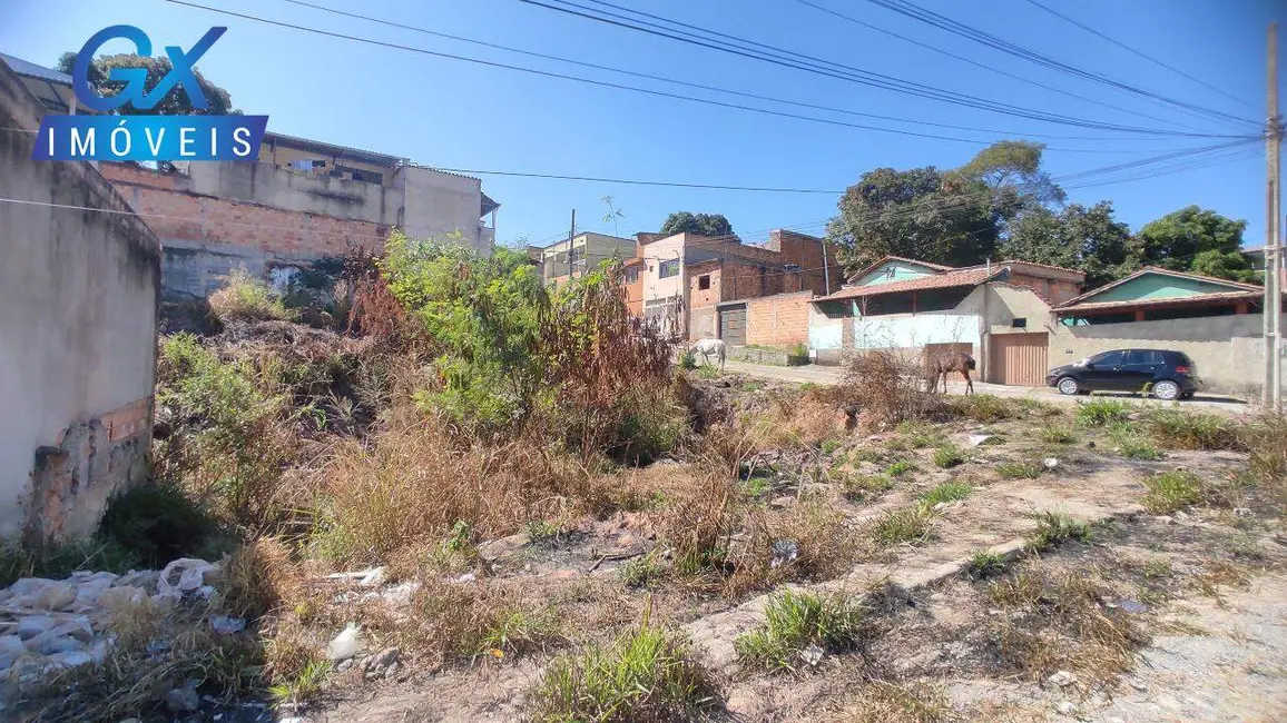 Terreno / Lote à venda, 390m2 em Veneza, Ribeirao Das Neves - MG - imagem 8 Foto 8 de Terreno / Lote à venda, 390m2 em Veneza, Ribeirao Das Neves - MG