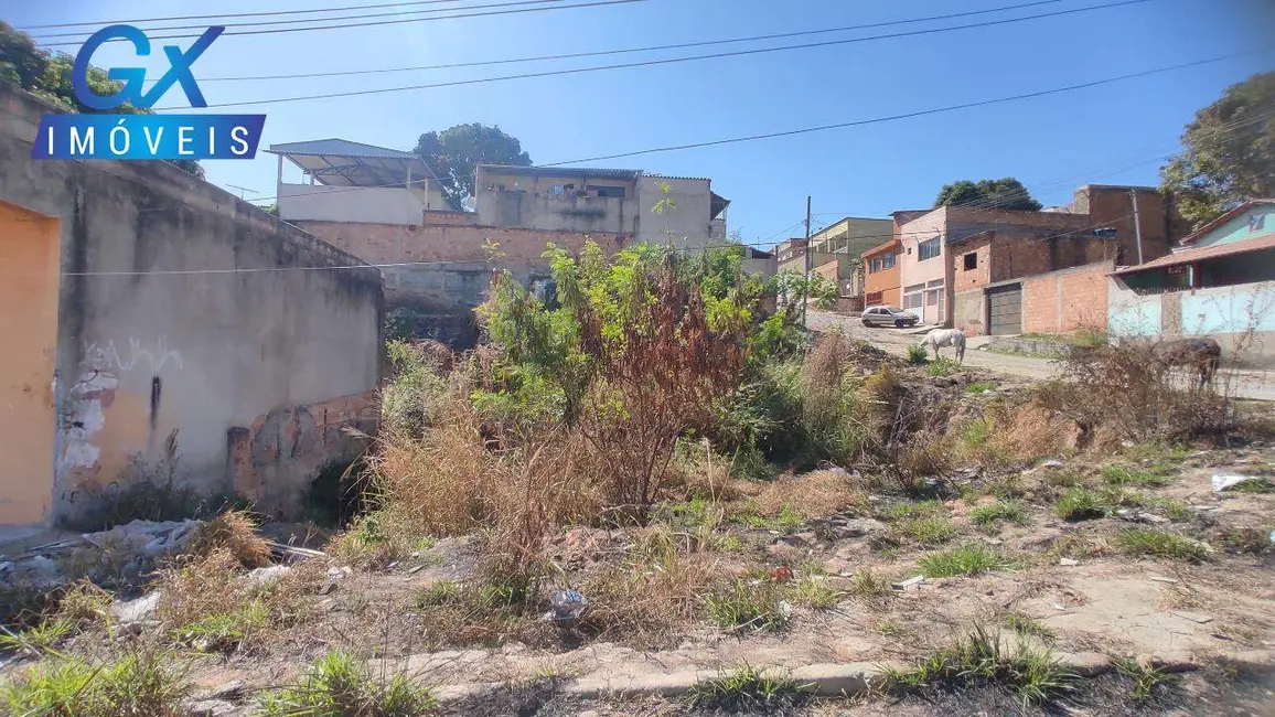 Terreno / Lote à venda, 390m2 em Veneza, Ribeirao Das Neves - MG - imagem 7 Foto 7 de Terreno / Lote à venda, 390m2 em Veneza, Ribeirao Das Neves - MG