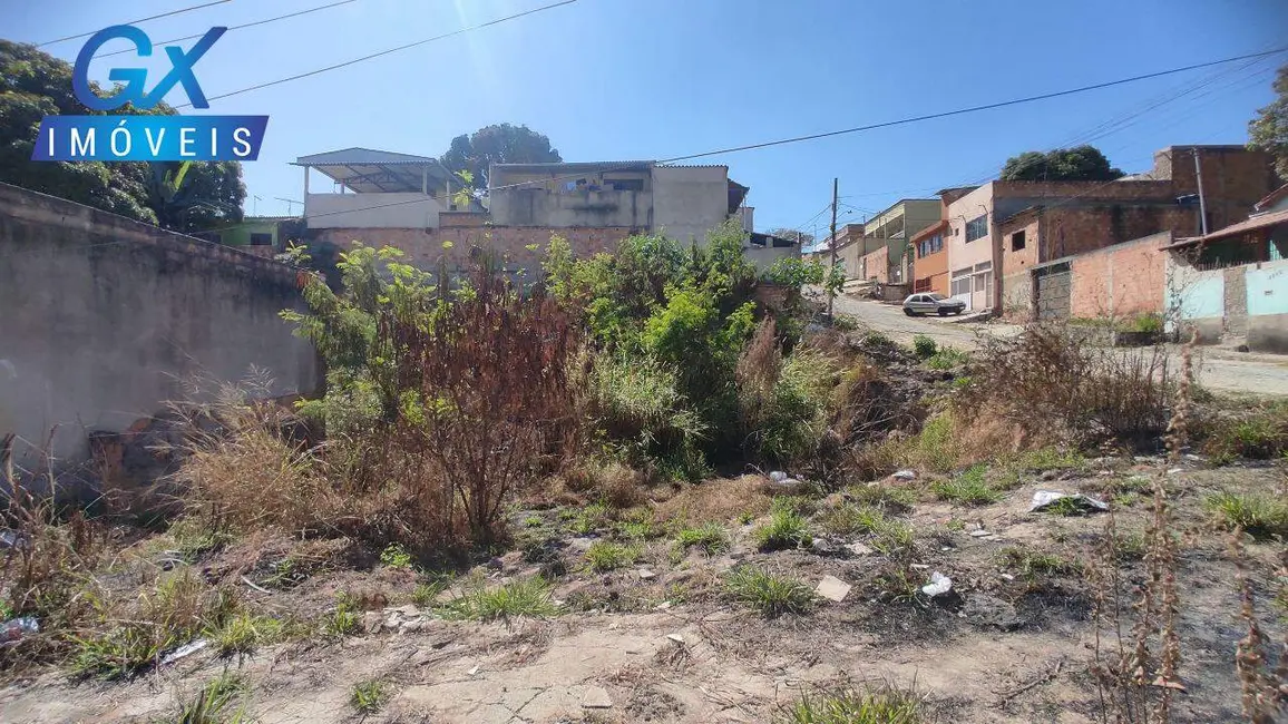 Foto 1 de Terreno / Lote à venda, 390m2 em Veneza, Ribeirao Das Neves - MG