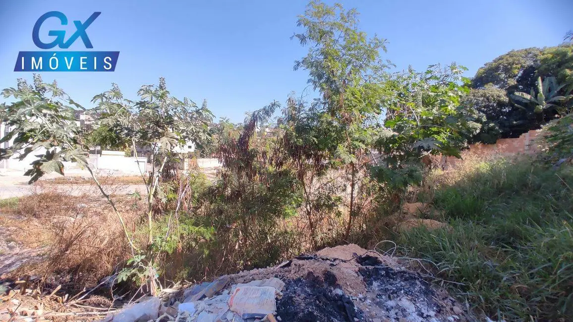 Terreno / Lote à venda, 390m2 em Veneza, Ribeirao Das Neves - MG - imagem 9 Foto 9 de Terreno / Lote à venda, 390m2 em Veneza, Ribeirao Das Neves - MG
