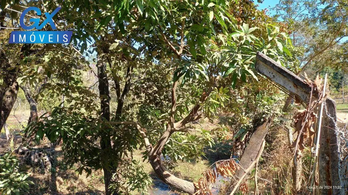 Chácara à venda em Esmeraldas - MG - imagem 24 Foto 24 de Chácara à venda em Esmeraldas - MG