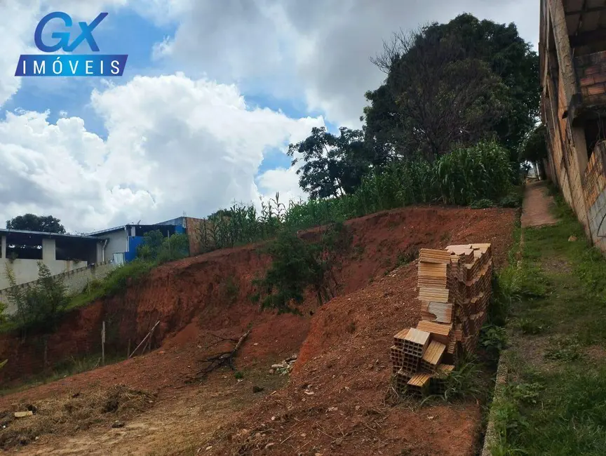 Terreno / Lote à venda, 1250m2 em Icaivera, Betim - MG - imagem 6 Foto 6 de Terreno / Lote à venda, 1250m2 em Icaivera, Betim - MG