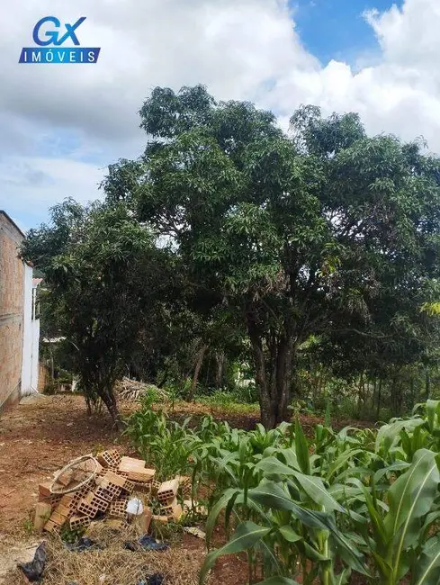 Terreno / Lote à venda, 1250m2 em Icaivera, Betim - MG - imagem 3 Foto 3 de Terreno / Lote à venda, 1250m2 em Icaivera, Betim - MG