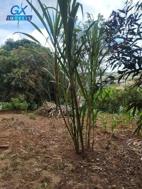 Terreno / Lote à venda, 1250m2 em Icaivera, Betim - MG - imagem 9 Foto 9 de Terreno / Lote à venda, 1250m2 em Icaivera, Betim - MG