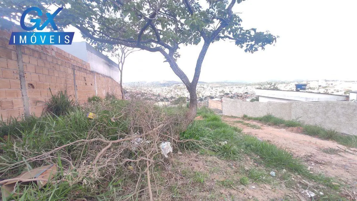 Foto 9 de Terreno / Lote à venda, 250m2 em Veneza, Ribeirao Das Neves - MG