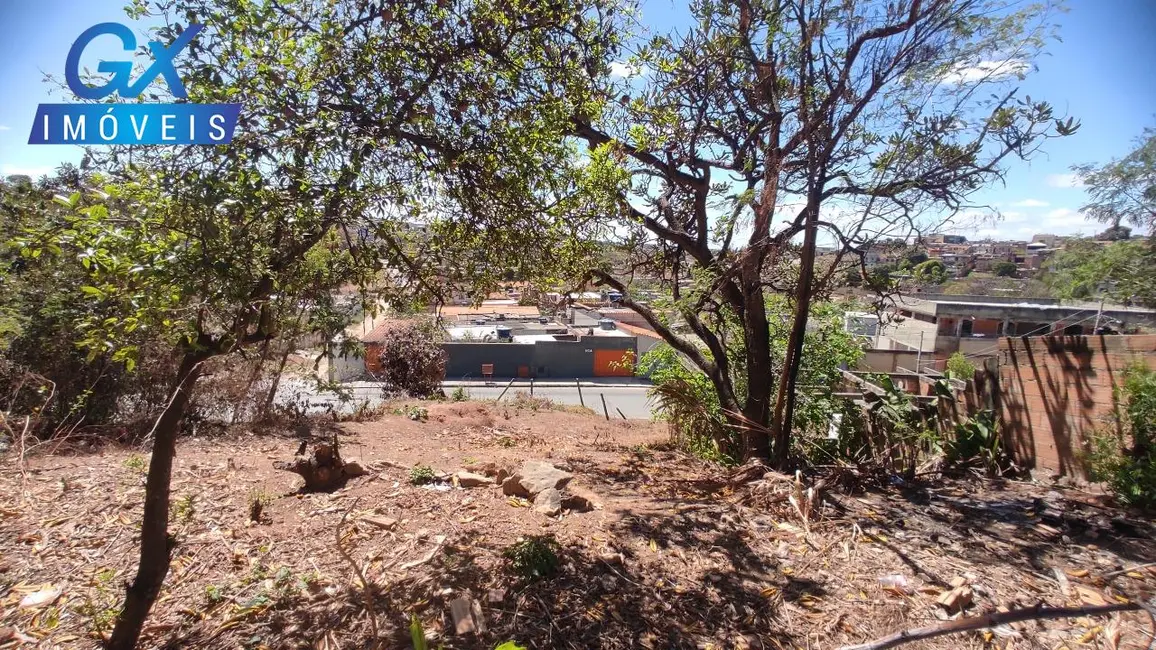 Foto 8 de Terreno / Lote à venda, 376m2 em Florença, Ribeirao Das Neves - MG