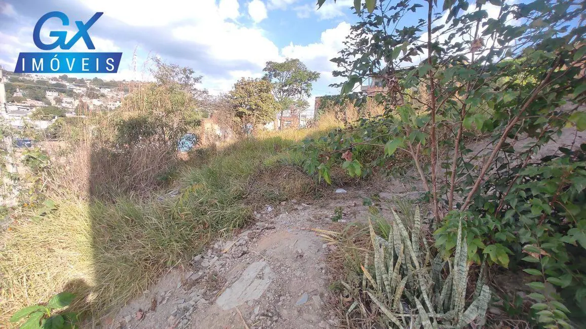 Foto 9 de Terreno / Lote à venda, 360m2 em Florença, Ribeirao Das Neves - MG