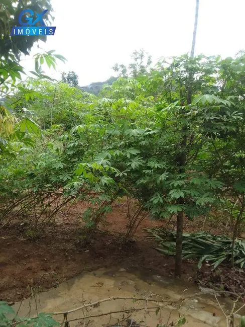 Foto 8 de Chácara à venda em Claudio - MG