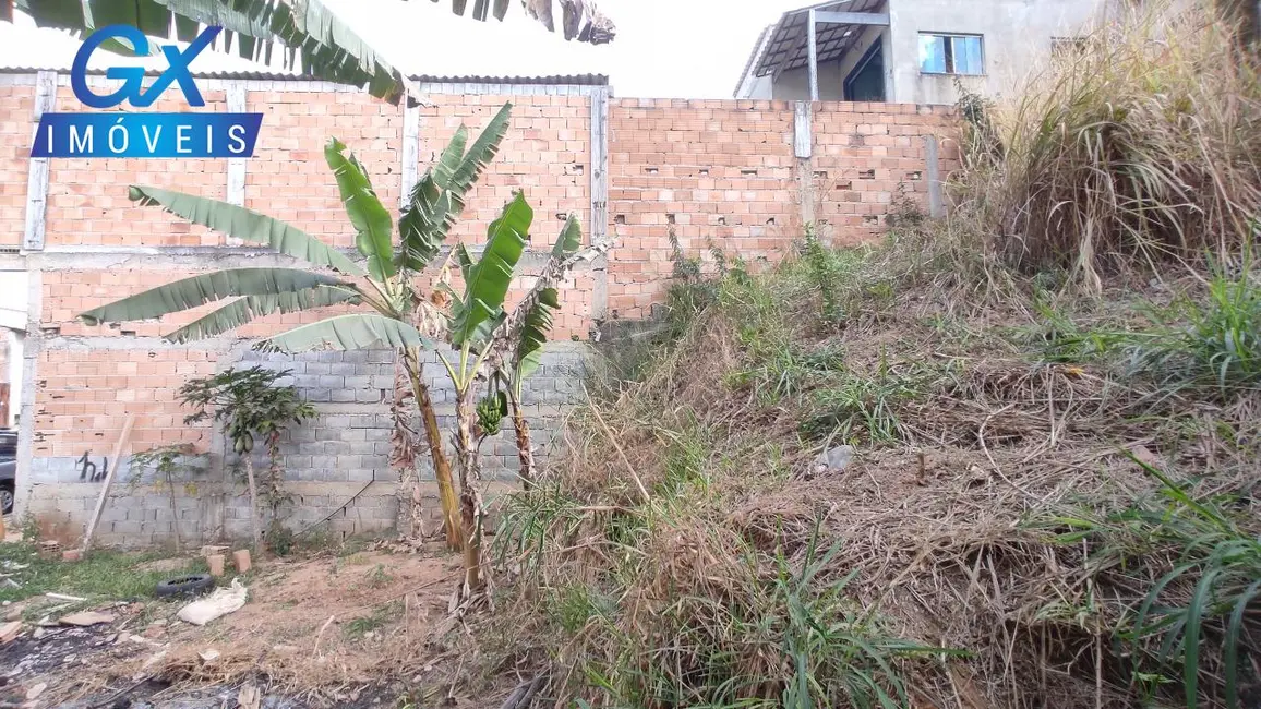 Foto 6 de Terreno / Lote à venda, 250m2 em Belvedere, Ribeirao Das Neves - MG
