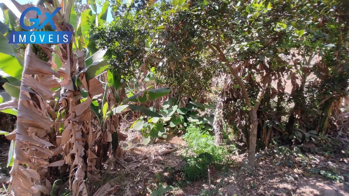 Foto 8 de Terreno / Lote à venda, 250m2 em Belvedere, Ribeirao Das Neves - MG