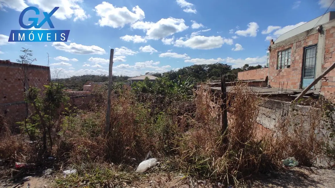 Foto 5 de Terreno / Lote à venda, 250m2 em Belvedere, Ribeirao Das Neves - MG