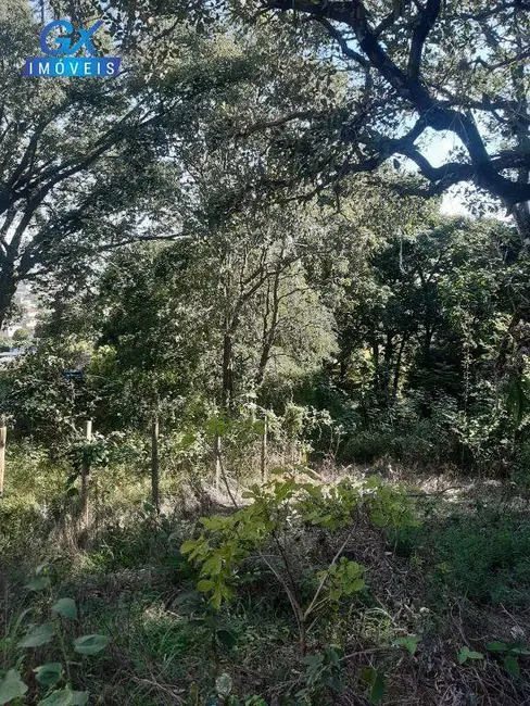 Foto 6 de Terreno / Lote à venda, 7000m2 em Bom Sossego, Ribeirao Das Neves - MG