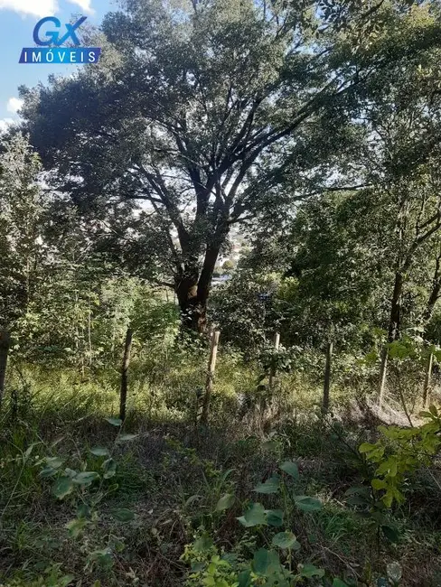 Foto 8 de Terreno / Lote à venda, 7000m2 em Bom Sossego, Ribeirao Das Neves - MG