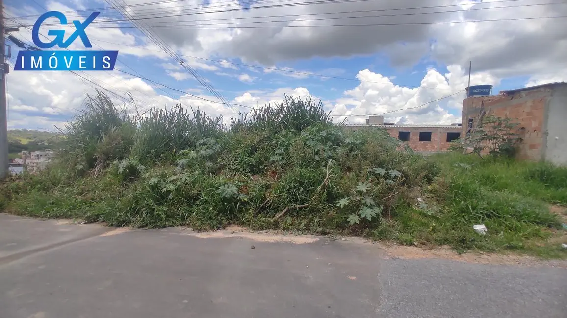Foto 5 de Terreno / Lote à venda, 269m2 em Belvedere, Ribeirao Das Neves - MG
