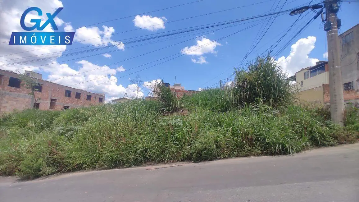 Foto 4 de Terreno / Lote à venda, 269m2 em Belvedere, Ribeirao Das Neves - MG
