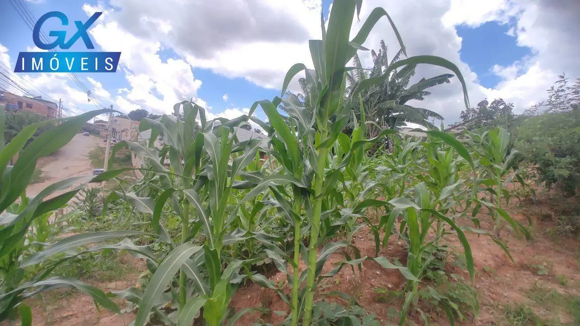 Foto 4 de Terreno / Lote à venda, 392m2 em Esmeraldas - MG