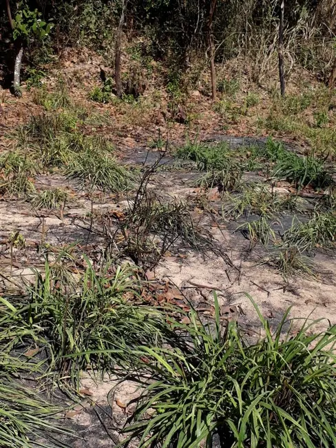 Foto 4 de Terreno / Lote à venda, 360m2 em Esmeraldas - MG