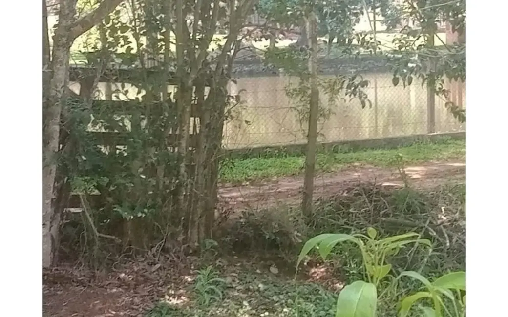 Chácara com 3 quartos à venda, 12000m2 em Nazare Paulista - SP - imagem 7 Foto 7 de Chácara com 3 quartos à venda, 12000m2 em Nazare Paulista - SP