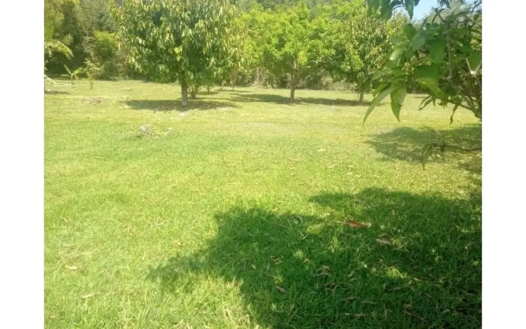 Chácara com 3 quartos à venda, 12000m2 em Nazare Paulista - SP - imagem 6 Foto 6 de Chácara com 3 quartos à venda, 12000m2 em Nazare Paulista - SP