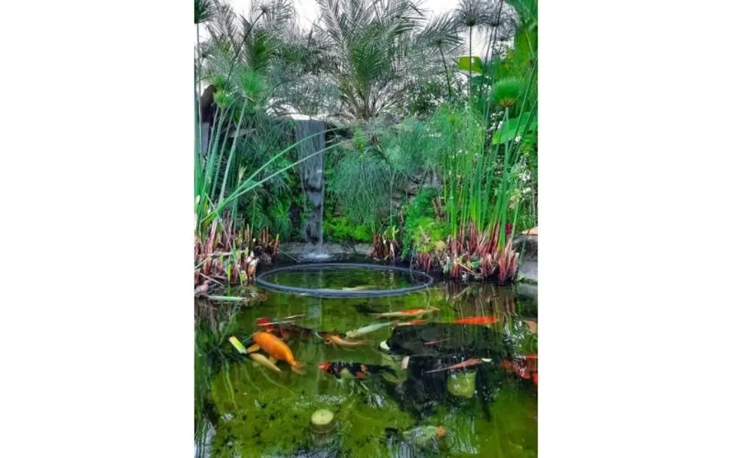 Foto 8 de Casa de Condomínio à venda, 60m2 em Guaxinduva, Atibaia - SP