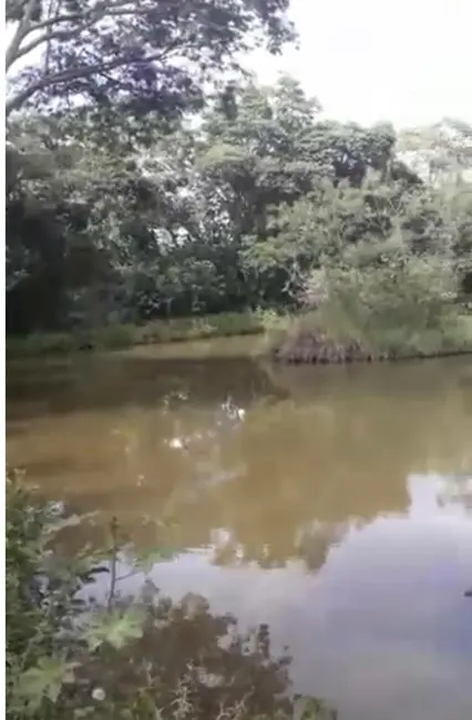 Foto 7 de Sítio / Rancho com 2 quartos à venda, 95m2 em Boa Vista, Atibaia - SP