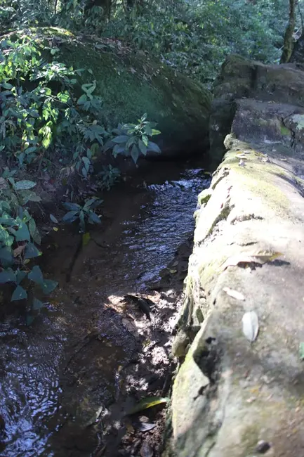 Foto 9 de Sítio / Rancho à venda, 2000m2 em Parque Flamboyant, Amparo - SP