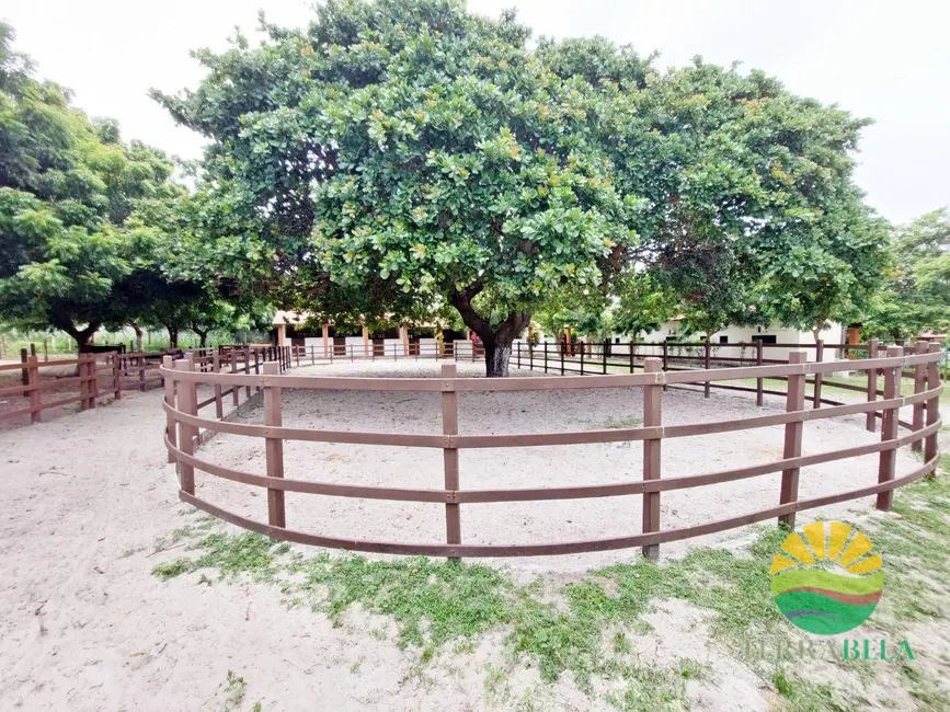 Foto 7 de Terreno / Lote à venda, 599m2 em Centro, Cascavel - CE