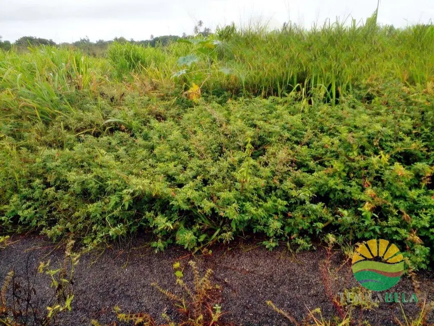 Foto 2 de Terreno / Lote à venda, 375m2 em Pindoretama - CE