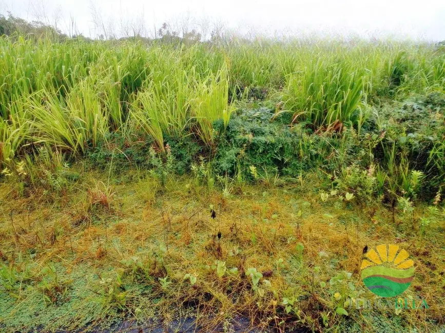Foto 2 de Terreno / Lote à venda, 375m2 em Pindoretama - CE