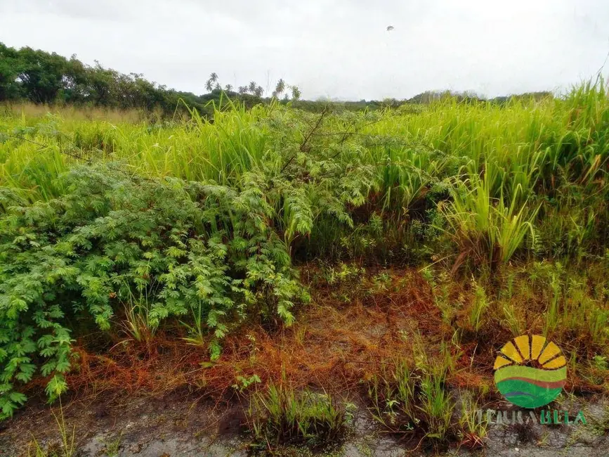 Foto 2 de Terreno / Lote à venda, 375m2 em Pindoretama - CE
