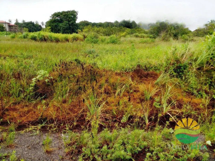 Foto 2 de Terreno / Lote à venda, 537m2 em Pindoretama - CE