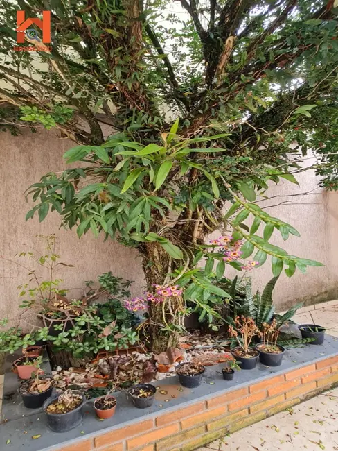 Foto 6 de Casa com 2 quartos à venda, 180m2 em Saúde, São Paulo - SP