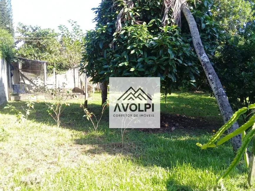 Chácara com 3 quartos à venda e para alugar, 1800m2 em Pedro De Toledo - SP - imagem 5 Foto 5 de Chácara com 3 quartos à venda e para alugar, 1800m2 em Pedro De Toledo - SP
