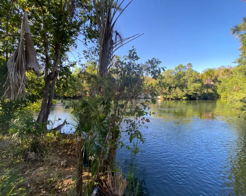Chácara com 3 quartos à venda, 7930m2 em Barreiras - BA - imagem 8 Foto 8 de Chácara com 3 quartos à venda, 7930m2 em Barreiras - BA
