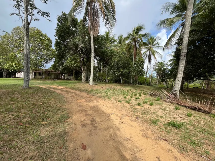 Foto 3 de Sítio / Rancho com 3 quartos à venda, 44000m2 em Cassange, Salvador - BA