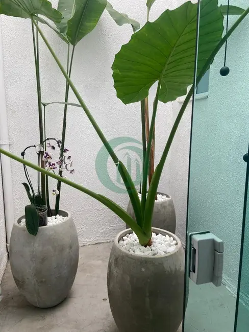 Foto 6 de Casa com 3 quartos à venda, 138m2 em Vila Pires, Santo Andre - SP