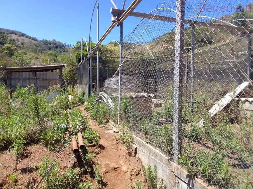 Chácara com 4 quartos à venda, 240m2 em Extrema - MG - imagem 6 Foto 6 de Chácara com 4 quartos à venda, 240m2 em Extrema - MG