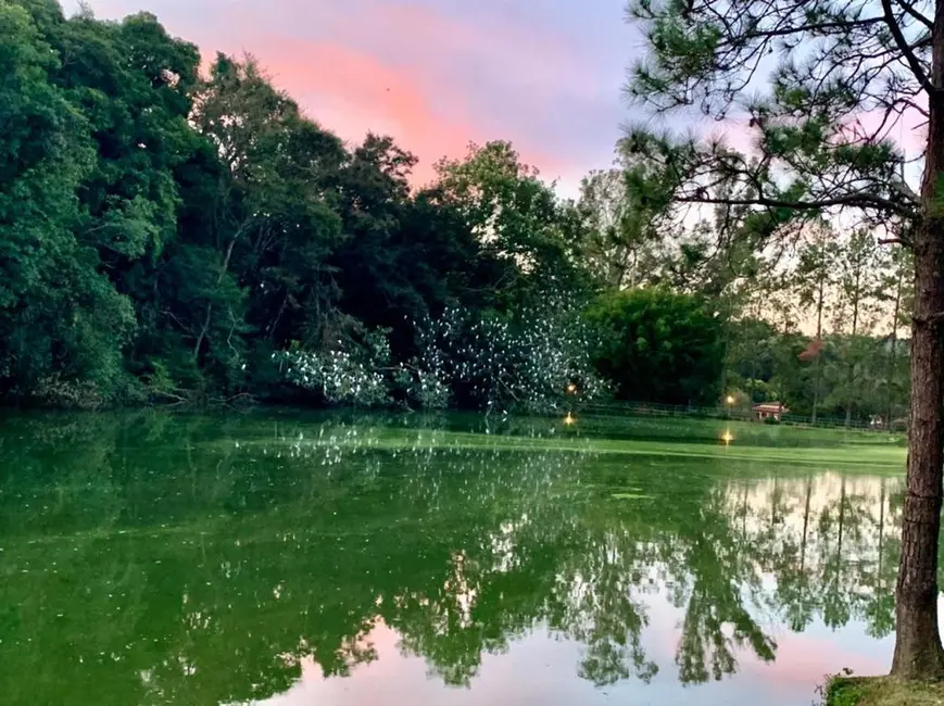 Foto 24 de Terreno / Lote à venda em Itupeva - SP
