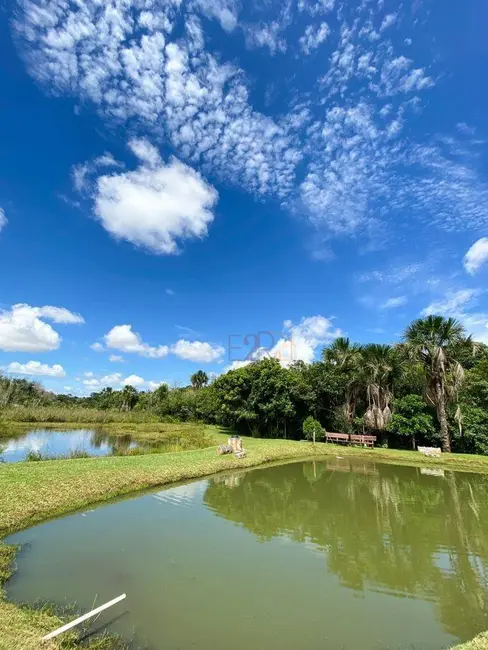 Chácara com 4 quartos à venda, 20000m2 em Parque dos Jatobás, Rio Verde - GO - imagem 6 Foto 6 de Chácara com 4 quartos à venda, 20000m2 em Parque dos Jatobás, Rio Verde - GO