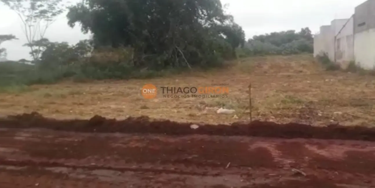 Terreno / Lote à venda, 250m2 em Novo Umuarama, Aracatuba - SP - imagem 1 Foto 1 de Terreno / Lote à venda, 250m2 em Novo Umuarama, Aracatuba - SP