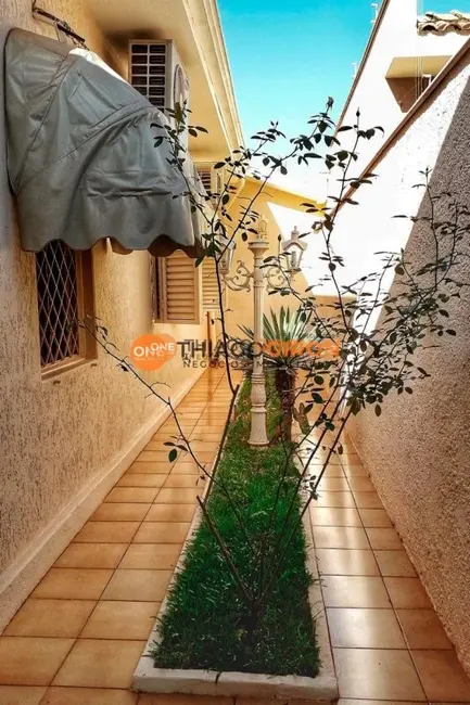 Casa com 3 quartos para alugar, 176m2 em Planalto, Aracatuba - SP - imagem 6 Foto 6 de Casa com 3 quartos para alugar, 176m2 em Planalto, Aracatuba - SP