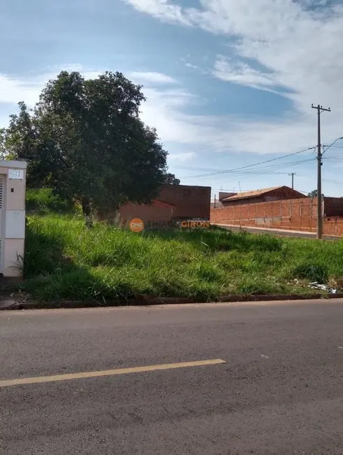 Terreno / Lote à venda, 300m2 em Umuarama, Aracatuba - SP - imagem 3 Foto 3 de Terreno / Lote à venda, 300m2 em Umuarama, Aracatuba - SP