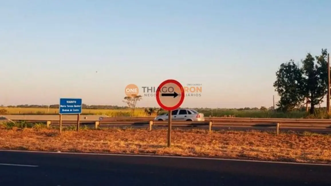 Chácara com 2 quartos à venda, 5000m2 em Chácaras de Recreio Monteiro, Aracatuba - SP - imagem 7 Foto 7 de Chácara com 2 quartos à venda, 5000m2 em Chácaras de Recreio Monteiro, Aracatuba - SP