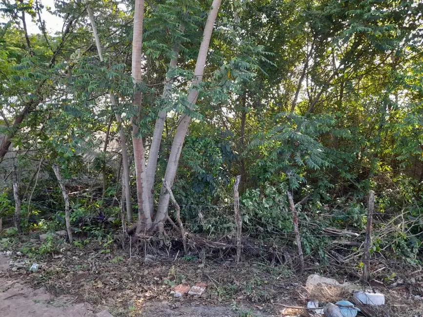 Foto 1 de Terreno / Lote à venda, 496m2 em Tibau Do Sul - RN