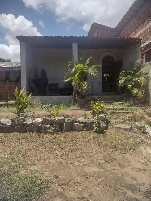 Sítio / Rancho com 1 quarto à venda, 9000m2 em Piau, Tibau Do Sul - RN - imagem 5 Foto 5 de Sítio / Rancho com 1 quarto à venda, 9000m2 em Piau, Tibau Do Sul - RN